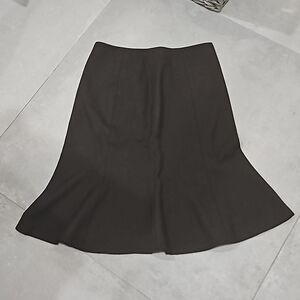 The Limited Skirt